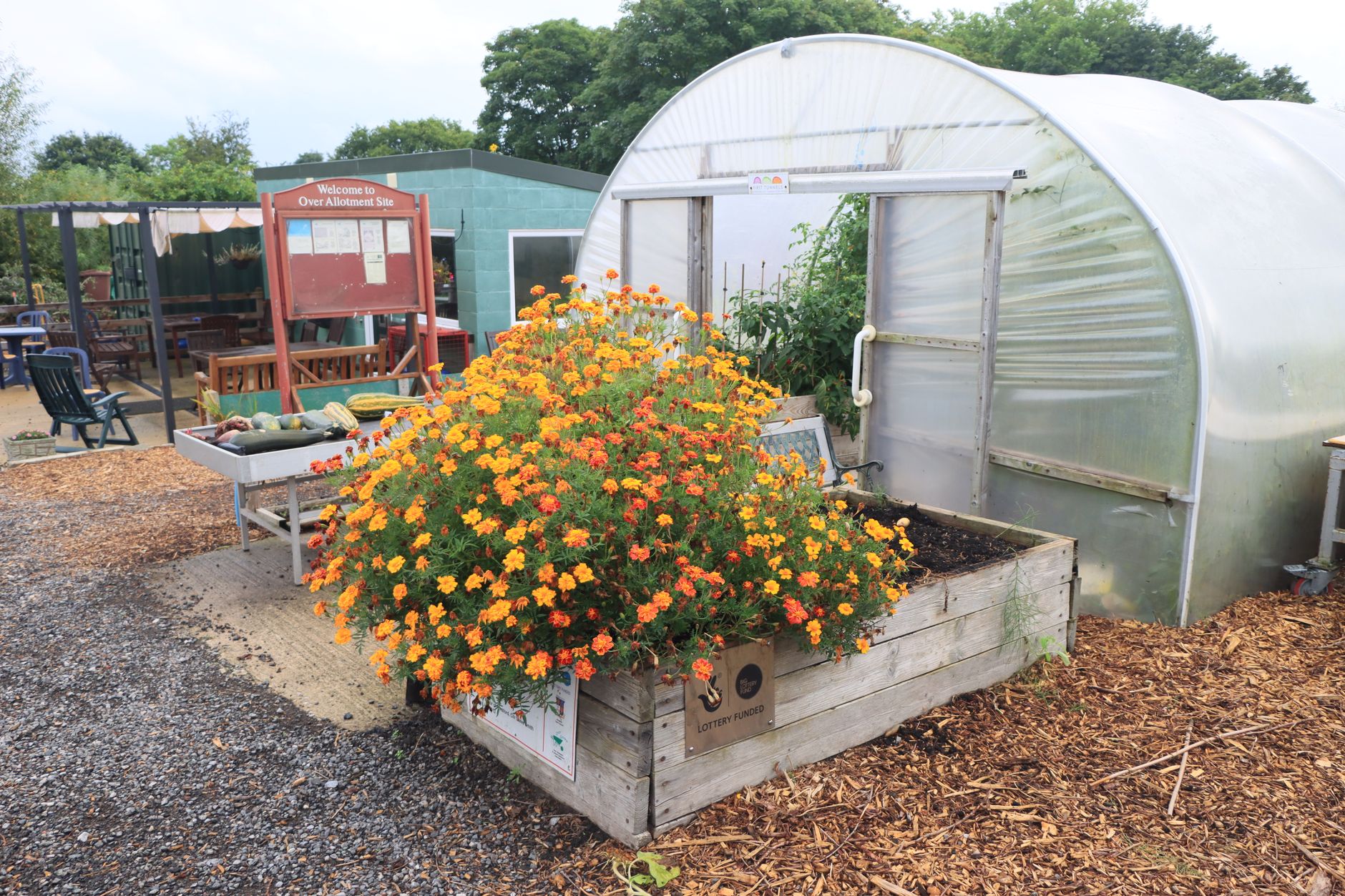 Greenhouse Buying in Britain: What to Know Before You Spend Your Money in 2026