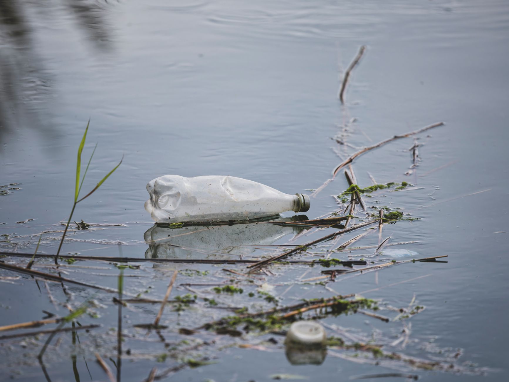 Foam and algae on a UK river surface highlighting poor uk river water quality 2026