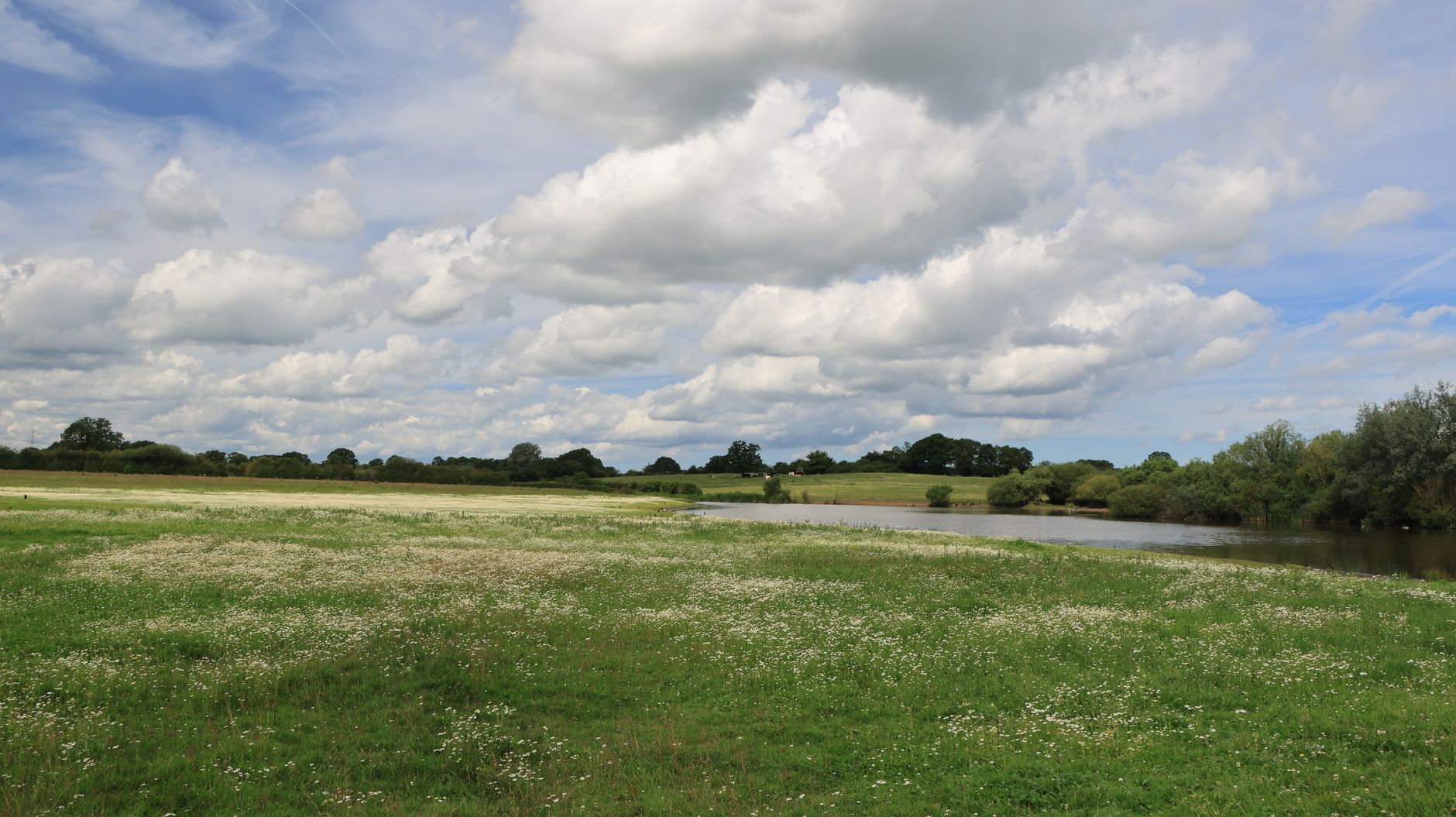 Britain’s Rivers Are in Crisis: What the Latest Water Quality Data Means for Swimmers and Anglers
