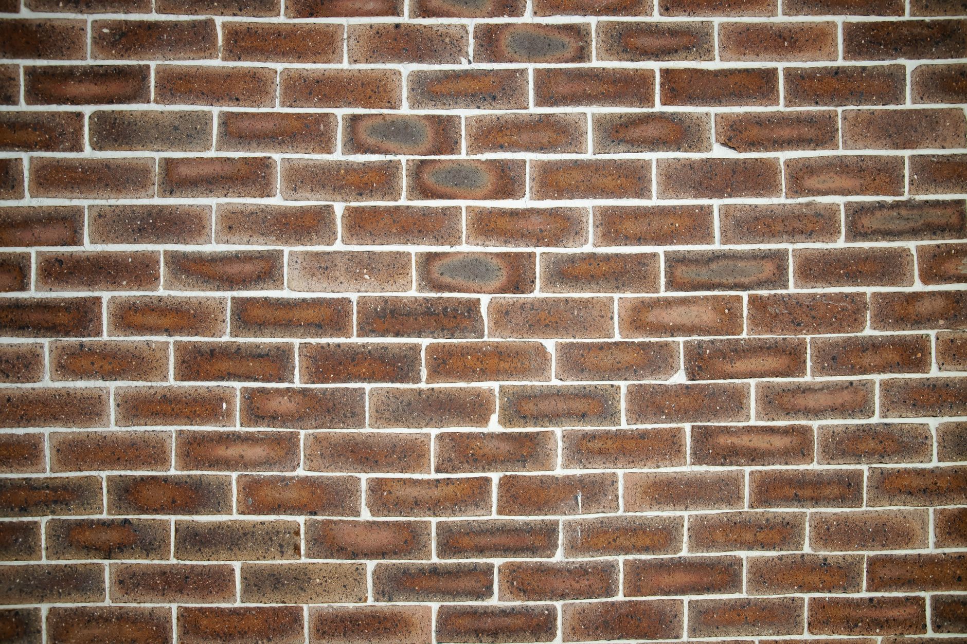 Repointing Brick Walls in a British Home: What It Costs, When It’s Urgent, and How to Avoid Cowboy Builders